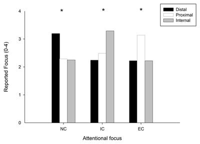 Superior Performance in Skilled Golfers Characterized by Dynamic Neuromotor Processes Related to Attentional Focus